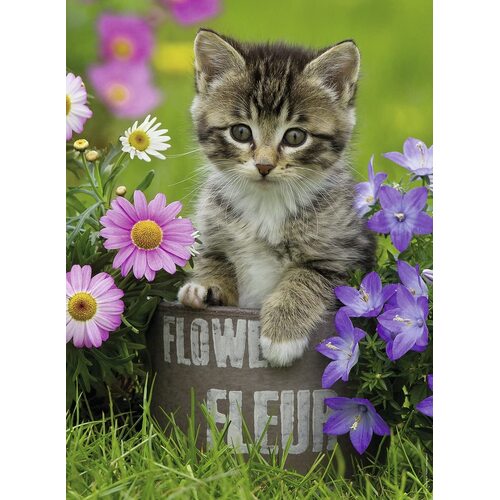 Ravensburger - Kitten Among the Flowers Puzzle 100pc